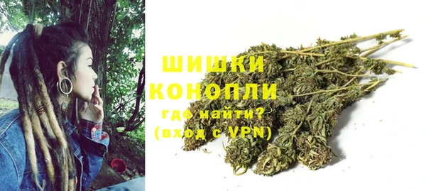 ПСИЛОЦИБИНОВЫЕ ГРИБЫ Аркадак