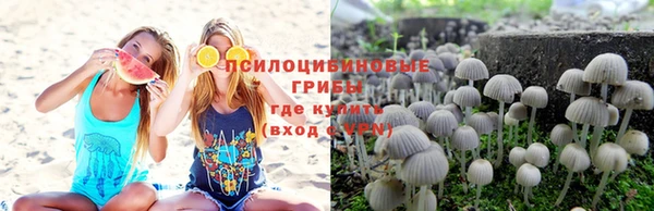 a pvp Алексин