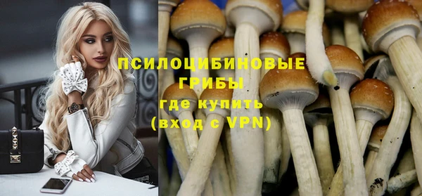 a pvp Алексин